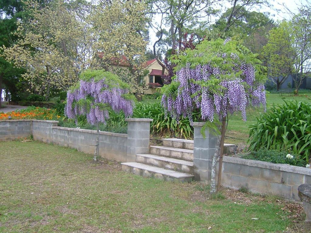 Hermitage Cottage Kurrajong Exterior foto